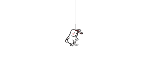 🐇 🐇