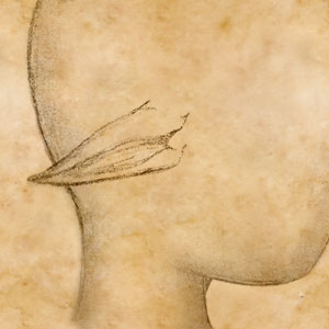d86n93fi0n9ml3jnp.jpg