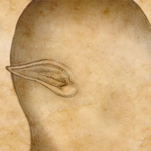 d86n977xrrhf4bio5.jpg